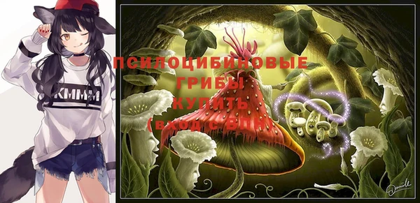 тгк Абаза