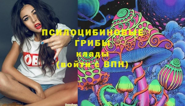 дживик Абинск