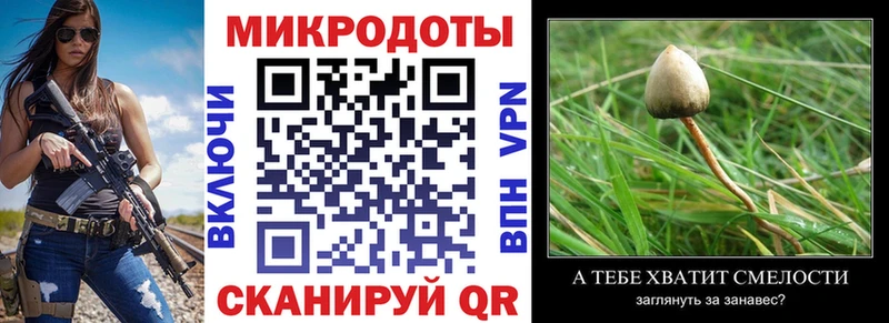 Псилоцибиновые грибы Psilocybe  Иноземцево 
